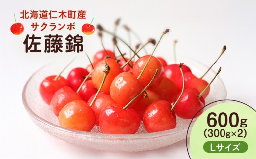 先行受付 北海道 仁木町産 さくらんぼ 佐藤錦 600g （300g×2） L以上　旬の果物 サクランボ チェリー フルーツ 果物 果物類 仁木町 仁木 [UMIX FARM]