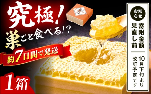 国産巣みつ 300g 蜂蜜 はちみつ ハチミツ コムハニー 極上はちみつ 濃厚ハチミツ 国産蜂蜜 スピード配送 広川町 / 株式会社九州蜂の子本舗 [AFAI004] はちみつ 蜂蜜 ハチミツ/ 株式会社九州蜂の子本舗 [AFAI004] はちみつ 蜂蜜 ハチミツ 2268432 - 福岡県広川町