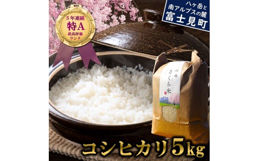 信州 長野県産 特A こしひかり 5kg 田端さくら米 コシヒカリ 新米 米 5kg 令和7年産 ★