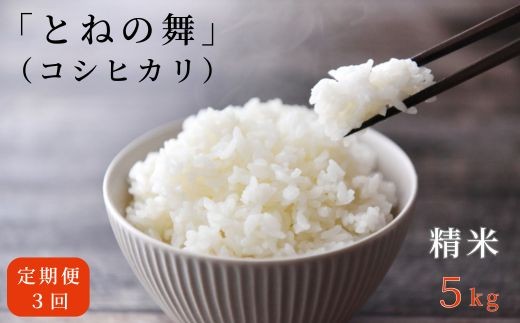 【3ヶ月定期便】《 令和7年産 》米 コシヒカリ 「 とねの舞 」 精米 5kg ／ 米 こめ コメ お米 おこめ コシヒカリ こしひかり とねの舞 新米 白米 ごはん 令和7年産 5kg 定期便 茨城県 利根町 送料無料