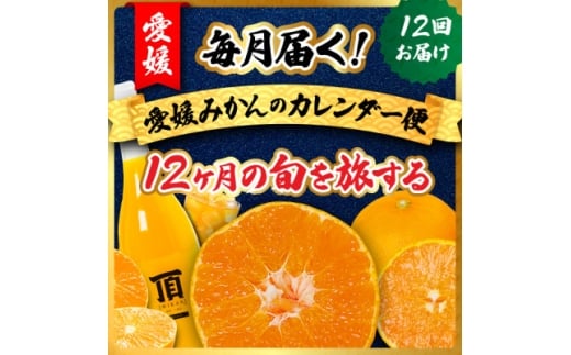 ＜発送月固定定期便＞毎月届く!みかんのカレンダー便　～12ヶ月の旬を旅する～＜H31-62＞全12回【4074244】