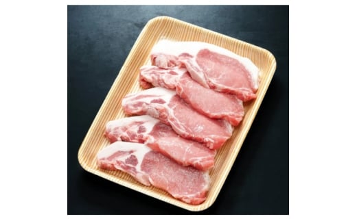 養老山麓豚 ロース とんかつ・テキカツ用 500g(100g×5枚)【1634048】