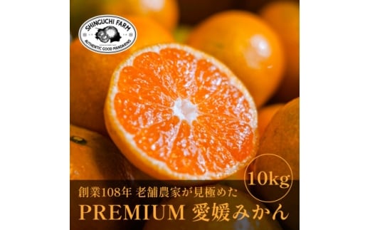 老舗農家が見極めたプレミアム＜愛媛みかん10kg＞＜愛媛県川上産＞＜E70-91＞【1671175】