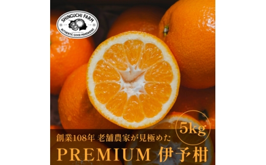 老舗農家が見極めたプレミアム＜伊予柑5kg＞＜愛媛県川上産＞＜D70-95＞【1671260】