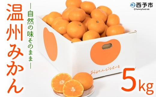 <温州みかん 約5kg> 柑橘 みかん ミカン 蜜柑 果物 くだもの フルーツ オレンジ うんしゅうみかん 国産 愛媛県産 特産品 おれんじはーと 食べて応援 西宇和 愛媛県 西予市 【常温】『2025年11月中旬~12月中旬迄に順次出荷予定』 345549 - 愛媛県西予市