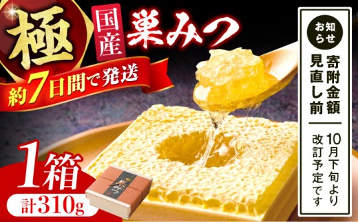 極巣みつ 310g 蜂蜜 はちみつ ハチミツ すみつ 巣蜜 蜂蜜 コムハニー 極上蜂蜜 濃厚蜂蜜 ギフト グリークヨーグルト アサイーボウル パンケーキ ソフトクリーム オシャレ スピード配送 広川町 / 株式会社九州蜂の子本舗 [AFAI007] 2268459 - 福岡県広川町