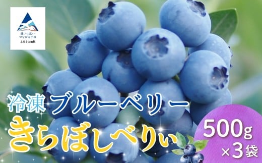 冷凍ブルーベリー５００ｇ×３袋