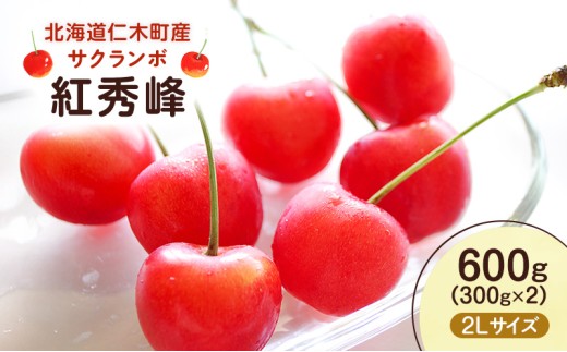 先行予約 北海道 仁木町産 さくらんぼ 紅秀峰 600g （300g×2）2L以上　旬の果物 サクランボ チェリー フルーツ 果物 果物類 仁木町 仁木 [UMIX FARM]