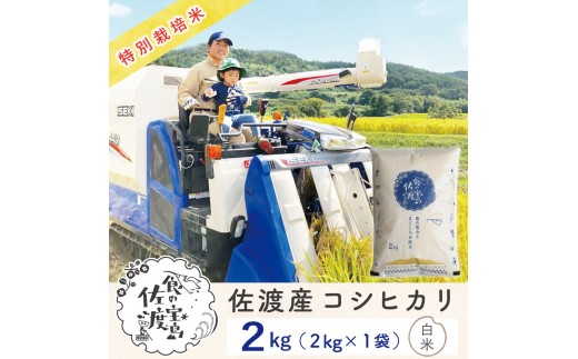 【新米予約】佐渡島産コシヒカリ 白米2Kg 令和7年 特別栽培米 農家直送 2306964 - 新潟県佐渡市