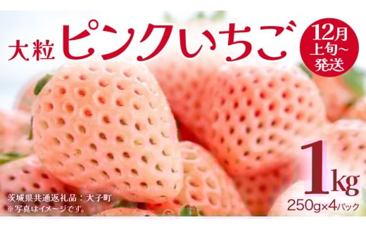 ピンクいちご 大粒 250g（8～12粒）×4パック【2025年12月上旬発送開始】(茨城県共通返礼品：大子町) いちご 苺 果物 フルーツ 果実