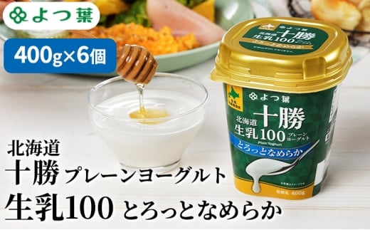 よつ葉 「北海道十勝プレーンヨーグルト 生乳100 とろっとなめらか」400g×6【 よつ葉 北海道十勝プレーンヨーグルト 生乳100％ タンパク質 菌 効果 腸活 レシピ 食べ方 アレンジ 水切り はちみつ 違い やわらか 北海道 十勝 幕別 】 [№5749-1825]