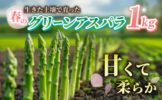 先行受付【里山JAPAN】甘くて柔らか 生きた土壌で育った『春のグリーンアスパラ』1kg｜長野県 ※2026年春発送 2308207 - 長野県東御市