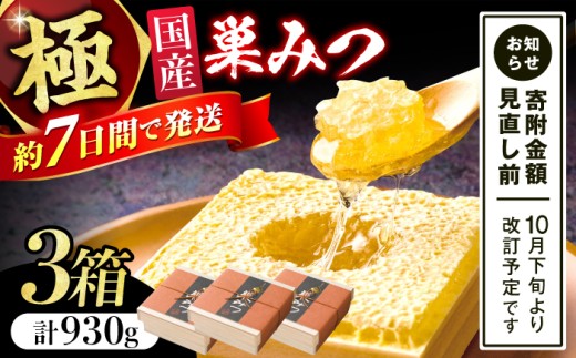 極巣みつ 930g (310g×3個) 蜂蜜 はちみつ ハチミツ すみつ 巣蜜 コムハニー 極上 濃厚 ギフト スピード配送 広川町 / 株式会社九州蜂の子本舗 [AFAI009]