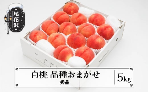 先行予約 もも 白桃 秀品 品種おまかせ 5kg  化粧箱入 フルーツ 果物 2025年産 令和7年産 山形県産 ns-mohtx5-a