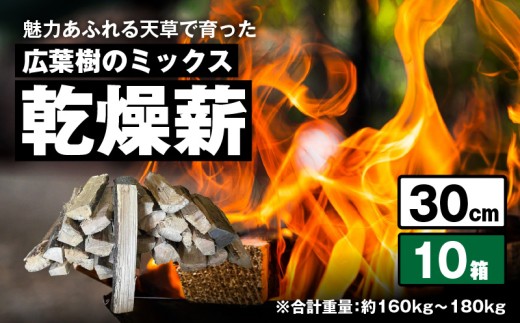 S163-016_魅力あふれる天草で育った広葉樹のミックス乾燥薪（30cm）　　 2308841 - 熊本県天草市