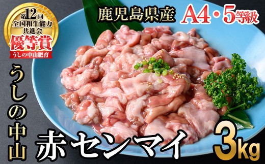 うしの中山 A4・A5等級黒毛和牛 赤センマイ（ギアラ）計3kg（500g×6P）黒毛和牛 和牛 肉 ホルモン 国産 九州産 鹿児島県産 焼肉 煮込み 鍋料理 もつ鍋 日本一 c0-132