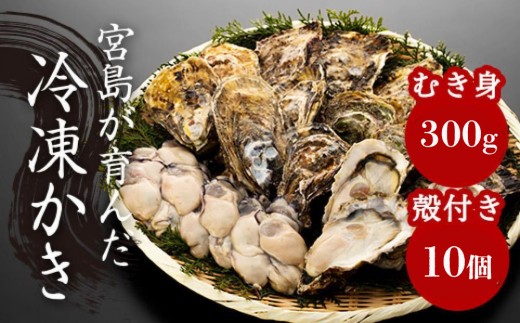 【加熱用】宮島が育んだ冷凍かき（セット）むき身300g＋殻付き10個 2307976 - 広島県廿日市市