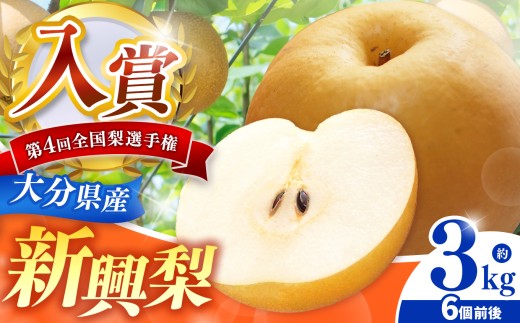 西江豊水園の新興梨 約3kg ( 7個前後 ) | フルーツ 果物 くだもの 果実 数量限定 旬 完熟梨 梨 なし ナシ 新興 新興梨 和梨 3kg 3キロ 新鮮 産地直送 大分県産 九州産 国産 大分県 中津市 246334 - 大分県中津市