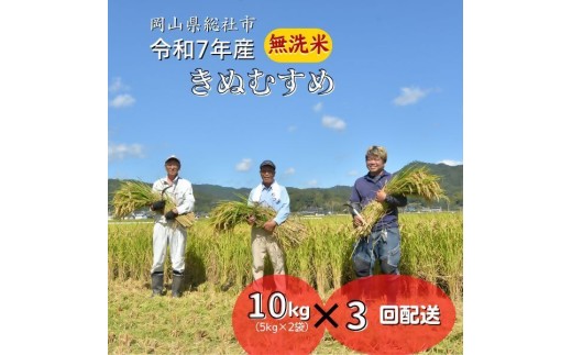 【定期便】令和7年産＜無洗米＞総社市産きぬむすめ　10kg〔3回配送〕25-081-001