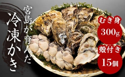 【加熱用】宮島が育んだ冷凍かき（セット）むき身300g＋殻付き15個 2307977 - 広島県廿日市市