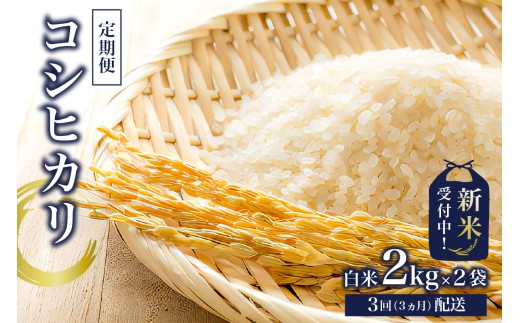 【定期便】【新米】コシヒカリ白米2kg×2【2025年産】【3か月連続でお届け】 mi0015-0003 おにぎり 白米 お米 ブランド米 精米