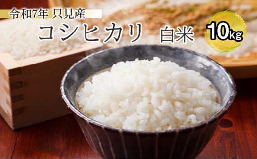 【伊南川農園】令和7年　只見産　コシヒカリ　白米　10kg お米 ライス ご飯 主食 おにぎり お弁当 福島県産 精米 食卓[№5633-0186] 696638 - 福島県只見町
