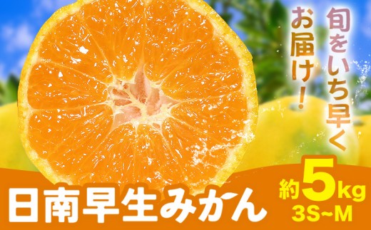 みかん 日南早生みかん 早生 みかん 約5kg 3S-Mサイズ どの坂果樹園《10月上旬-下旬頃出荷》和歌山県 日高川町 産地直送 柑橘類 みかん 旬 フルーツ 果物 柑橘 送料無料