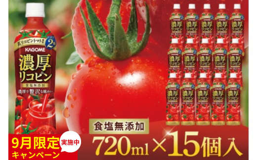 【9月限定価格】カゴメ 濃厚リコピン トマトジュース 720ml×15個｜KAGOME とまと 野菜 高リコピン（93-202） 2287212 - 茨城県阿見町