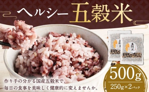 [2025年11月上旬より発送開始] ヘルシー五穀米 250g×2袋 計500g 五穀米 雑穀米 雑穀 五穀 米 お米 黒米 押し麦 麦 もち麦 玄米 赤米 ブレンド 常温 お取り寄せ 国産 九州産 熊本県 湯前町