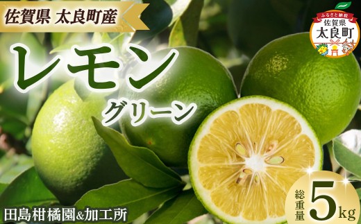 田島柑橘園&加工所のレモン(グリーン)5kg　レモン れもん 檸檬 フルーツ 果物 柑橘 グリーン 果汁 酸味 ビタミン 健康 国産 減農薬栽培 佐賀県 太良町 ND19
