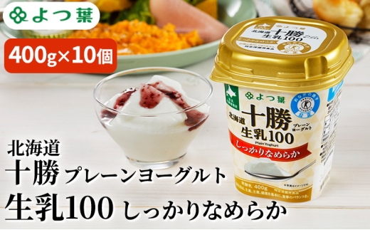 よつ葉 「北海道十勝プレーンヨーグルト 生乳100 しっかりなめらか」400g×10【 よつ葉 北海道十勝プレーンヨーグルト 生乳100％ タンパク質 菌 効果 腸活 レシピ 食べ方 アレンジ 水切り はちみつ 違い やわらか 北海道 十勝 幕別 】 [№5749-1823]