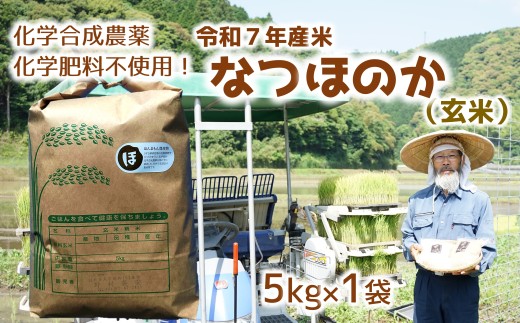 [オーガニック太陽]令和7年産米なつほのか 5kg 【玄米】 2034058 - 大分県臼杵市