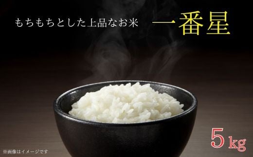 《 令和7年産 》米  もちもちで上品な食感「一番星」精米5kg ／ 米 こめ コメ お米 おこめ 一番星 新米 白米 ごはん 令和7年産 5kg 茨城県 利根町 送料無料