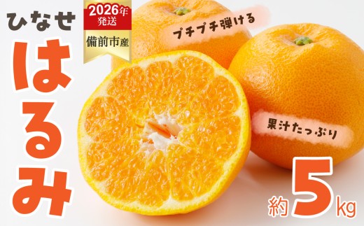 みかん ひなせ はるみ 約5kg（2026年2月頃発送）【果物 フルーツ みかん ミカン ひなせ 春見】 2319017 - 岡山県備前市