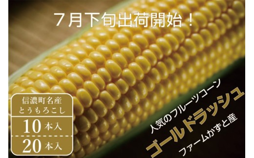 2026年夏のご予約受付開始！ 信濃町名産とうもろこし『ファームかずとのゴールドラッシュ  20本セット』粒皮が薄く生でも食べられる、フルーツを凌ぐほどの甘いとうもろこし 朝採れを農場から直送　令和8年7月下旬～8月下旬出荷分 先行予約【長野県信濃町ふるさと納税】　 1339237 - 長野県信濃町