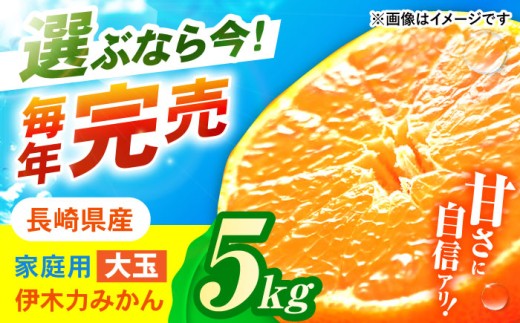 ※【2025年11月より順次発送／先行予約】伊木力みかん (大玉) 5kg / みかん ミカン 蜜柑 柑橘 フルーツ ふるーつ 果物 くだもの / 諫早市 / 山野果樹園 [AHCF007]