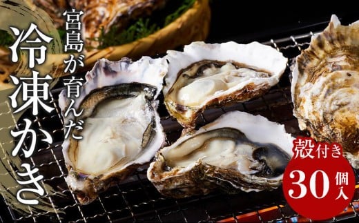 【加熱用】宮島が育んだ冷凍かき(殻付き)30個 2307974 - 広島県廿日市市