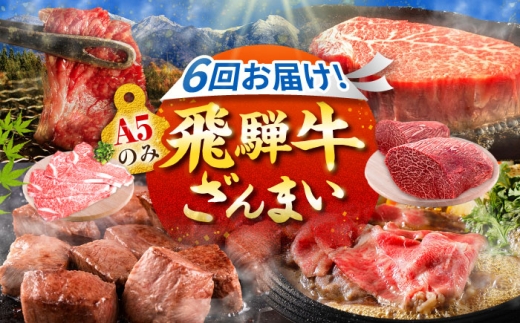 【6回定期便】肉のキング 飛騨牛満喫セット / 飛騨牛 サーロイン ステーキ 肉 詰め合わせ セット 岐阜県 / 御嵩町 / 肉のキング [AVAG020]