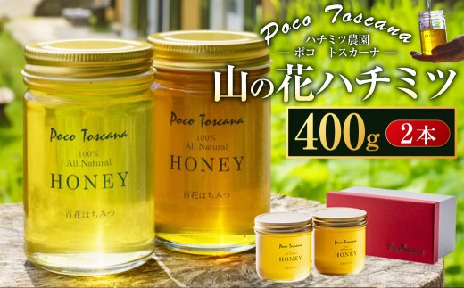 山の花 ハチミツ 400g瓶 × 2本 セット 合計800g はちみつ 蜂蜜 ハニー 非加熱 長崎 1453677 - 長崎県長崎市