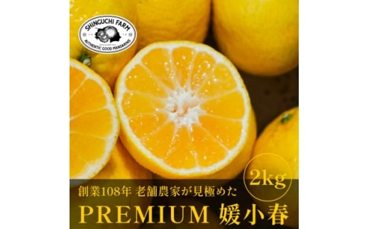 ＜数量限定＞老舗農家が見極めたプレミアム＜媛小春2kg＞ 愛媛県新品種＜C70-99＞【1671387】