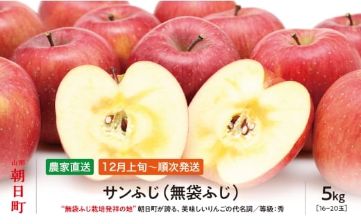 ＜ 先行予約 ＞ りんご サンふじ 秀 5kg 16～20玉 【2025年12月上旬発送】 農家直送 山形県 朝日町産 山形県産 特産 果物 フルーツ リンゴ 林檎 産地直送 秋 冬 1426927 - 山形県朝日町