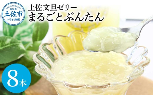 土佐文旦ゼリー『黄色い王様』8本セット ゼリー飲料 ぜりー ブンタン ぶんたん フルーツ 果物 柑橘 みかん お菓子 おかし おやつ デザート スイーツ おいしい 爽やか シャーベット お取り寄せ