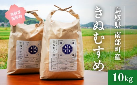＜新米・令和7年産＞鳥取県南部町産 きぬむすめ 10kg 米 お米 こめ おこめ コメ 白米 精米 なんぶ里山デザイン機構 2307874 - 鳥取県南部町