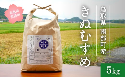 ＜新米・令和7年産＞鳥取県南部町産 きぬむすめ 5kg 米 お米 こめ おこめ コメ 白米 精米 なんぶ里山デザイン機構 2307872 - 鳥取県南部町