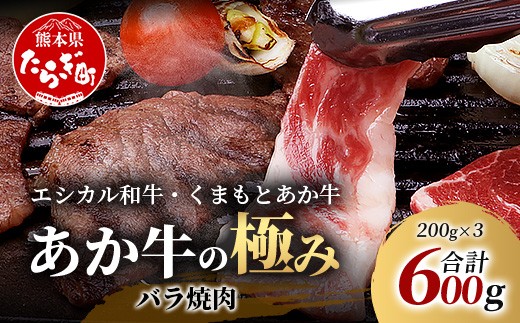 【エシカル和牛】くまもと あか牛【あか牛の極み】バラ焼肉 200g×3 (計 600g) バラ 熊本 赤牛 ジューシー 牛肉 小分け 焼き肉 焼肉 やき肉 BBQ アウトドア 和牛 国産 SDGs 033-0514 2293032 - 熊本県多良木町