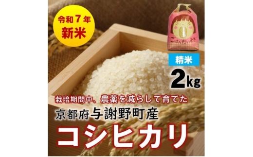 R7年産新米　京都丹後産コシヒカリ　精米2kg　栽培期間中、農薬を減らして育てたお米　農家直送【1658843】 2262130 - 京都府与謝野町