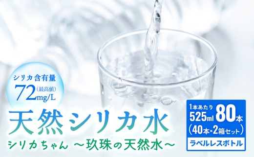天然 シリカ 水 525ml × 40本 × 2箱 ＜シリカちゃん〜玖珠の天然水〜＞ ラベルレス 天然水 シリカ水 ミネラルウォーター 大分県 国産 天然シリカ 水 シリカ水 ミネラルウォーター 国産 保存可能 水 ペットボトル 長期保存水 備蓄水 備蓄用 非常災害備蓄用 災害 避難用品 防災 SDGs 1919905 - 大分県玖珠町