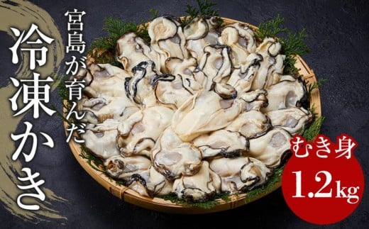【加熱用】宮島が育んだ冷凍かき（むき身）1.2kg 2307972 - 広島県廿日市市