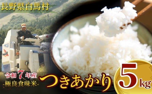 白馬産つきあかり 精米 5kg /長野県白馬村  新米  白米  お米 コメ  北アルプス  清流米  大粒  つややか  甘み  粘り  バランス  冷めても美味しい  お弁当向き  農家直送  新鮮精米【B0050653-B】