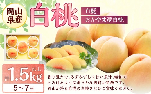 桃 2026年 先行予約 岡山 白桃 （品種：おかやま夢白桃／白麗） 5～7玉 合計1.5kg以上 【2026年7月下旬～8月上旬 発送予定】 もも モモ 岡山県産 国産 フルーツ 果物 環山堂 くだもの お取り寄せ 贈り物 ギフト 国産